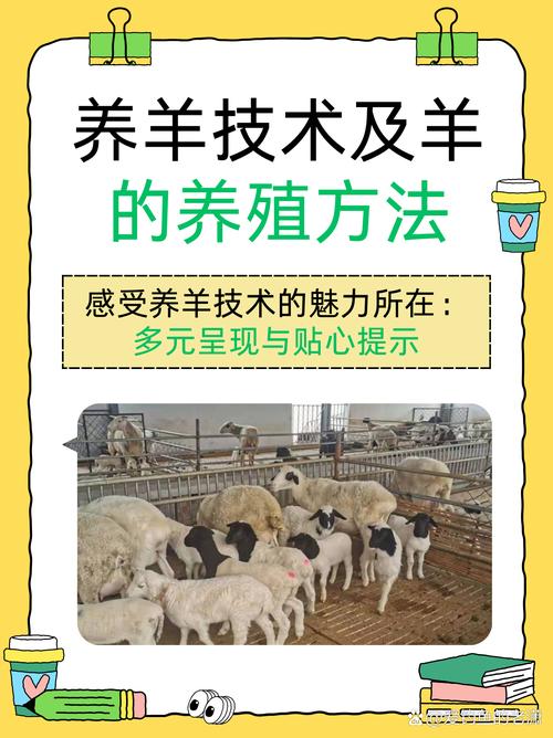 今晚开奖结果号码和央视曝光云养殖骗局与央视曝光云养殖骗局是真的吗