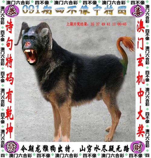 2025澳门天天彩开奖结果查询表和家外有家被判10个月与家里有人判刑